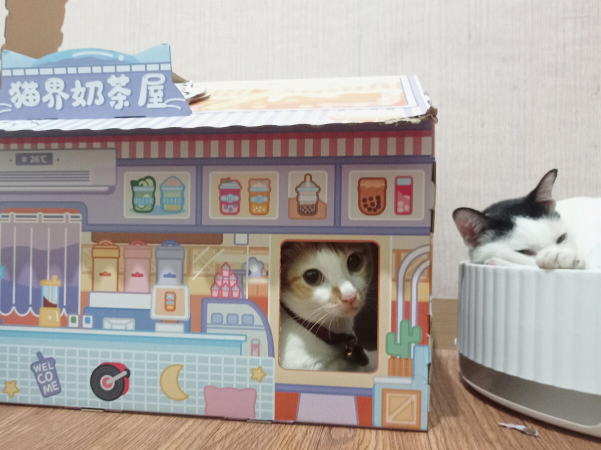 Cat House