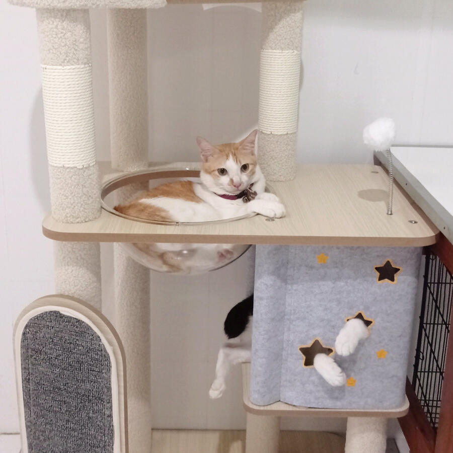 Cat Tree